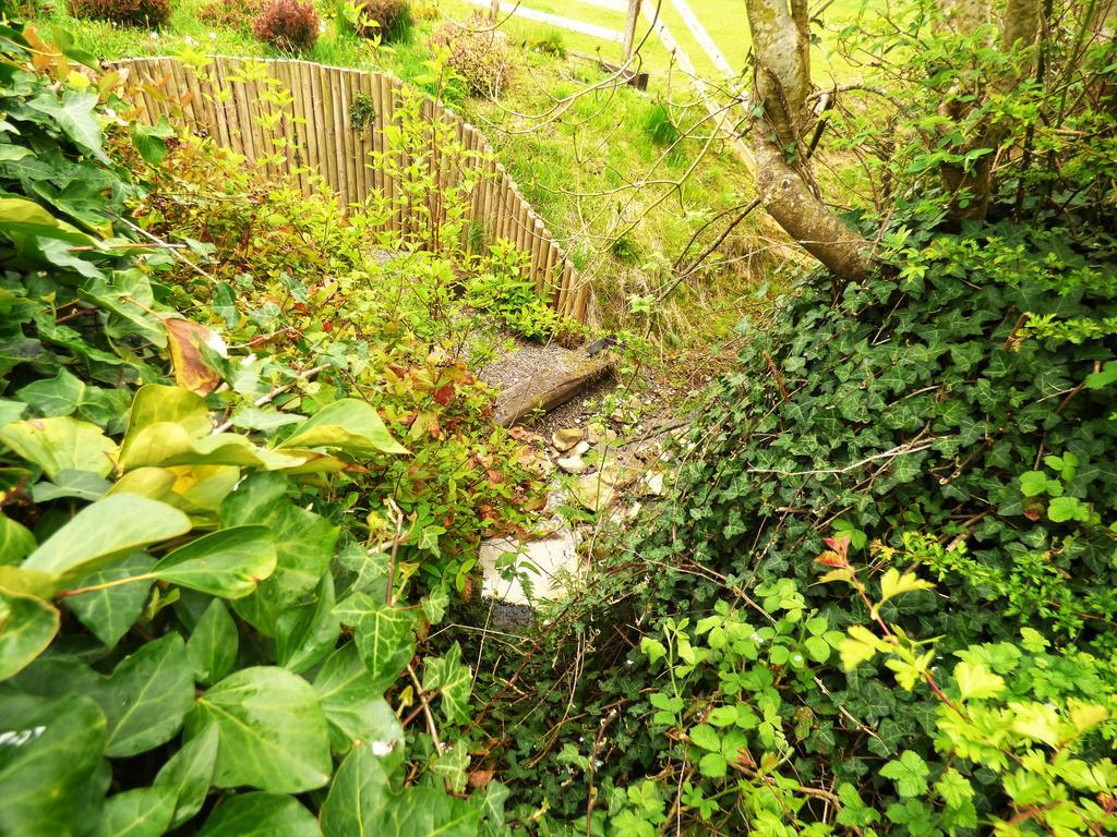 Ash House Bed And Breakfast Calverstown Exterior foto