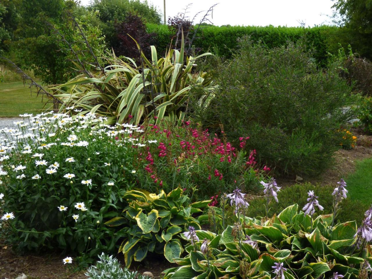 Ash House Bed And Breakfast Calverstown Exterior foto