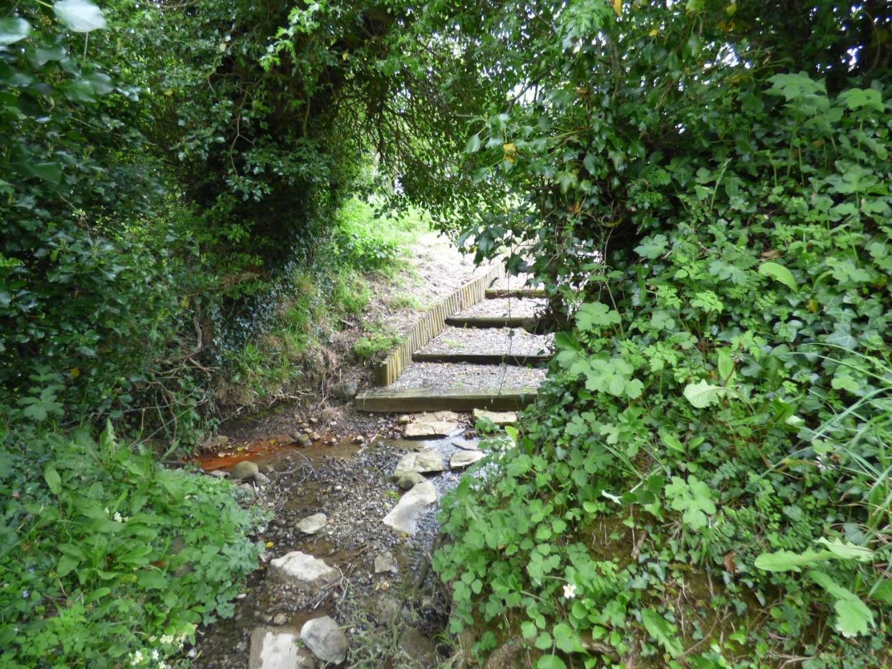 Ash House Bed And Breakfast Calverstown Exterior foto